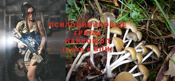 PSILOCYBIN Баксан