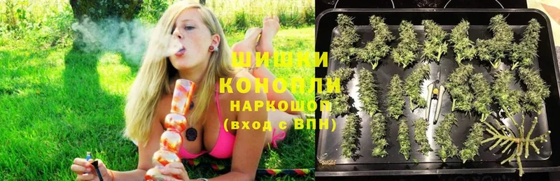 даркнет состав  Серов  Бошки марихуана White Widow 